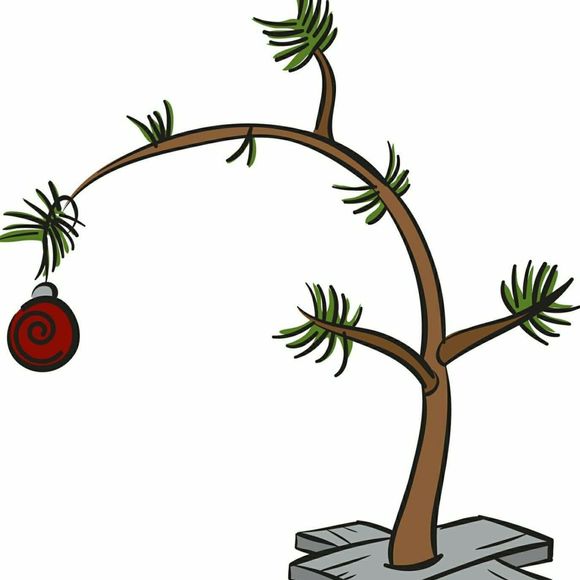 Meet your Posher, Debra - Picture 1 of 1